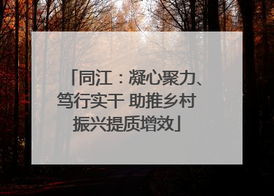 同江：凝心聚力、笃行实干 助推乡村振兴提质增效