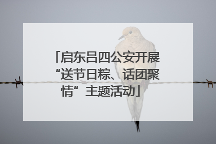 启东吕四公安开展“送节日粽、话团聚情”主题活动