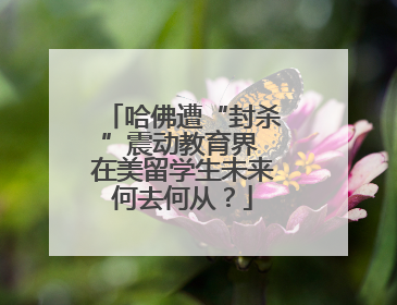 哈佛遭“封杀”震动教育界 在美留学生未来何去何从？