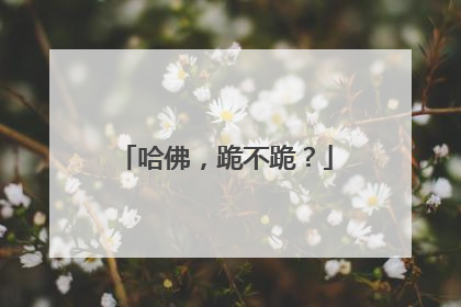 哈佛，跪不跪？