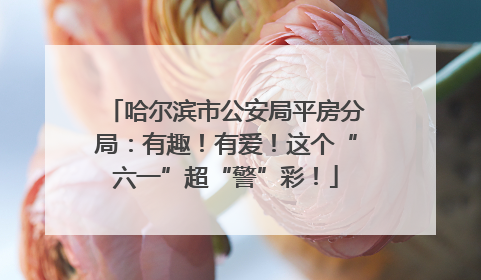 哈尔滨市公安局平房分局：有趣！有爱！这个“六一”超“警”彩！