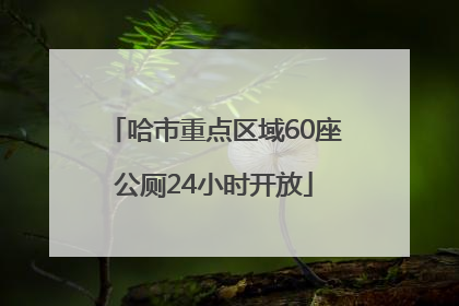哈市重点区域60座公厕24小时开放