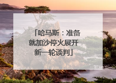 哈马斯：准备就加沙停火展开新一轮谈判