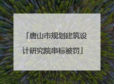 唐山市规划建筑设计研究院串标被罚