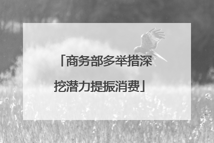 商务部多举措深挖潜力提振消费