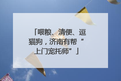 喂粮、清便、逗猫狗，济南有帮“上门宠托师”