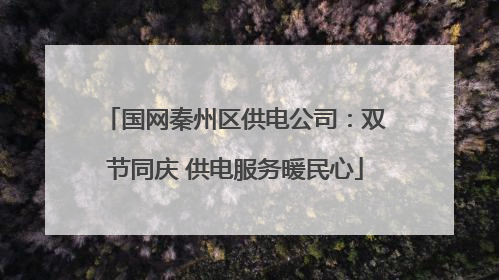 国网秦州区供电公司：双节同庆 供电服务暖民心