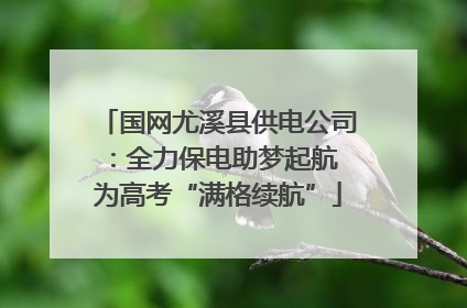国网尤溪县供电公司：全力保电助梦起航 为高考“满格续航”