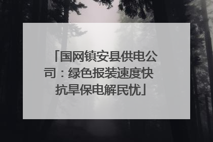 国网镇安县供电公司：绿色报装速度快 抗旱保电解民忧