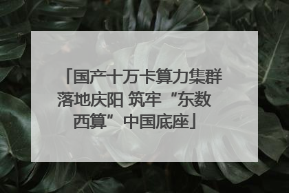 国产十万卡算力集群落地庆阳 筑牢“东数西算”中国底座