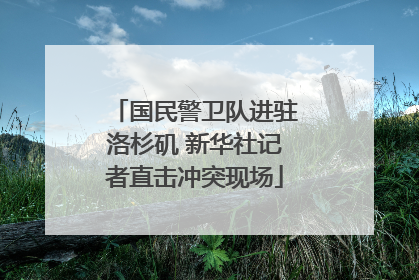 国民警卫队进驻洛杉矶 新华社记者直击冲突现场