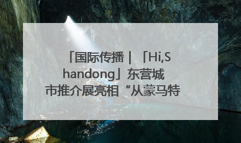 国际传播｜「Hi,Shandong」东营城市推介展亮相“从蒙马特到加里波第”文化节