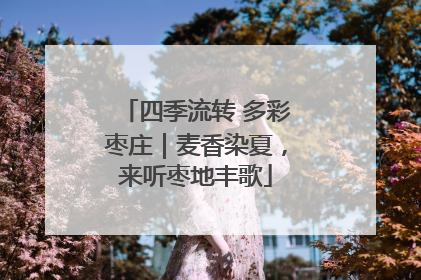 四季流转 多彩枣庄｜麦香染夏，来听枣地丰歌