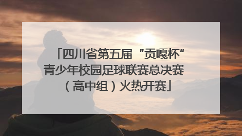 四川省第五届“贡嘎杯”青少年校园足球联赛总决赛（高中组）火热开赛