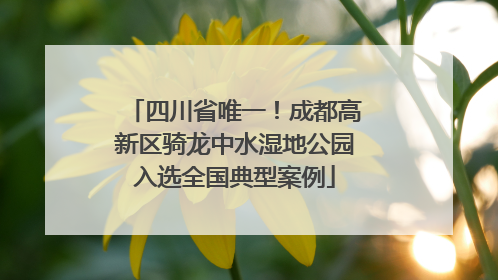 四川省唯一！成都高新区骑龙中水湿地公园入选全国典型案例