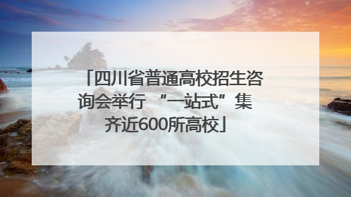 四川省普通高校招生咨询会举行 “一站式”集齐近600所高校