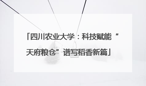 四川农业大学：科技赋能“天府粮仓”谱写稻香新篇