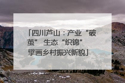 四川芦山：产业“破茧” 生态“织锦” 擘画乡村振兴新貌