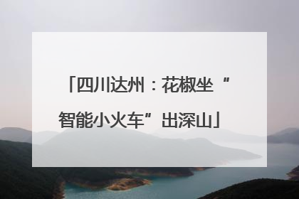 四川达州：花椒坐“智能小火车”出深山