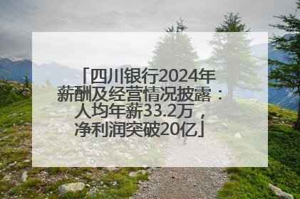 四川银行2024年薪酬及经营情况披露：人均年薪33.2万，净利润突破20亿