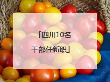 四川10名干部任新职