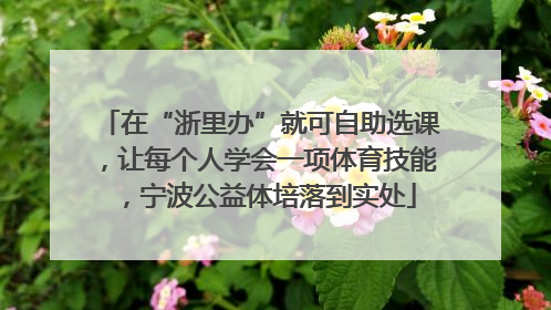 在“浙里办”就可自助选课，让每个人学会一项体育技能，宁波公益体培落到实处