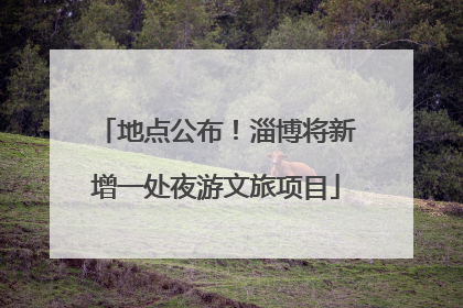 地点公布！淄博将新增一处夜游文旅项目