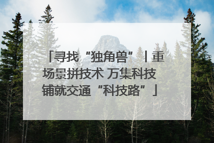 寻找“独角兽”丨重场景拼技术 万集科技铺就交通“科技路”