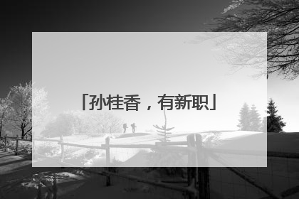 孙桂香，有新职