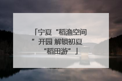 宁夏“稻渔空间”开园 解锁初夏“稻田游”