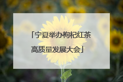 宁夏举办枸杞红茶高质量发展大会