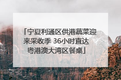 宁夏利通区供港蔬菜迎来采收季 36小时直达粤港澳大湾区餐桌