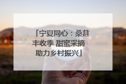 宁夏同心：桑葚丰收季 甜蜜采摘助力乡村振兴