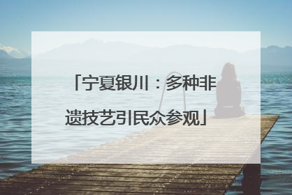 宁夏银川：多种非遗技艺引民众参观