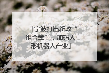 宁波打出新政“组合拳”，加码人形机器人产业