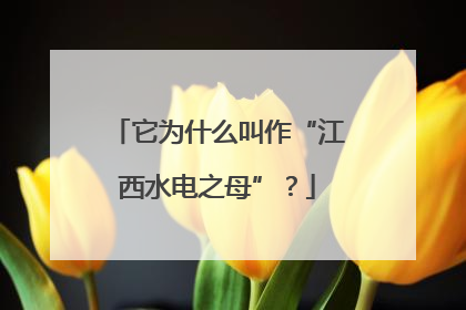 它为什么叫作“江西水电之母”？