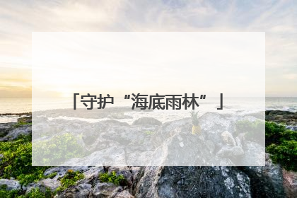 守护“海底雨林”