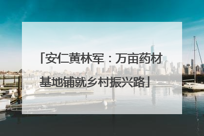 安仁黄林军：万亩药材基地铺就乡村振兴路