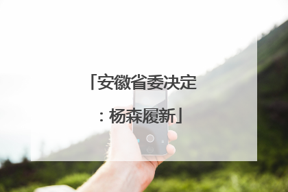 安徽省委决定：杨森履新