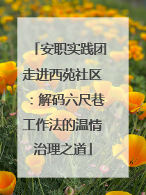 安职实践团走进西苑社区：解码六尺巷工作法的温情治理之道