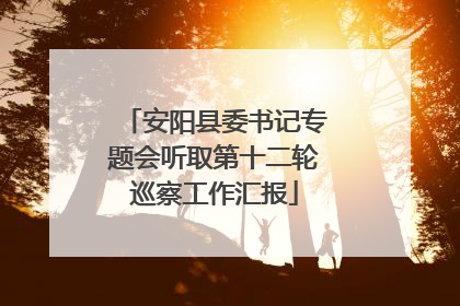 安阳县委书记专题会听取第十二轮巡察工作汇报