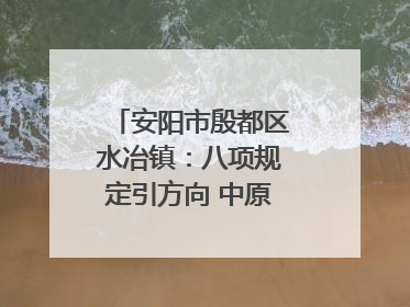 安阳市殷都区水冶镇：八项规定引方向 中原第一镇谱新章