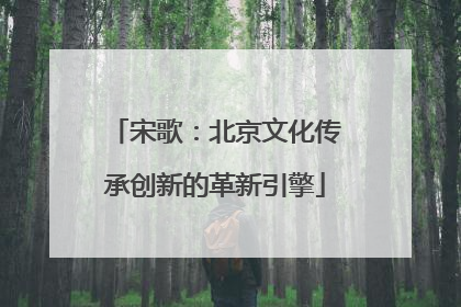 宋歌：北京文化传承创新的革新引擎
