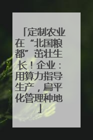 定制农业在“北国粮都”茁壮生长！企业：用算力指导生产，扁平化管理种地
