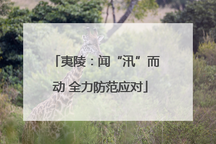 夷陵：闻“汛”而动 全力防范应对