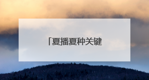 夏播夏种关键期，范县释放强劲“水动力”