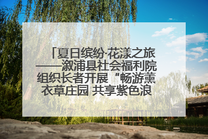 夏日缤纷·花漾之旅——溆浦县社会福利院组织长者开展“畅游薰衣草庄园 共享紫色浪漫”户外活动
