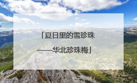 夏日里的雪珍珠——华北珍珠梅