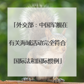 外交部：中国军舰在有关海域活动完全符合国际法和国际惯例