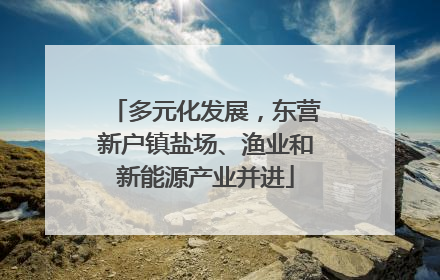 多元化发展，东营新户镇盐场、渔业和新能源产业并进
